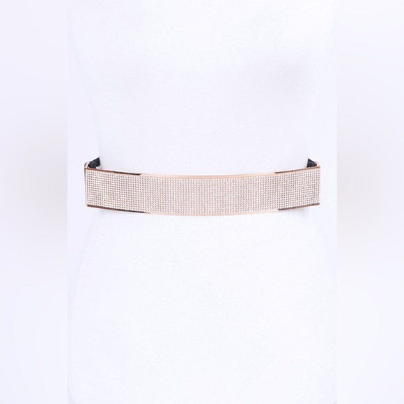 Rhinestone Metallic Plaque Elastic Statement Belt - Picture 7 of 7